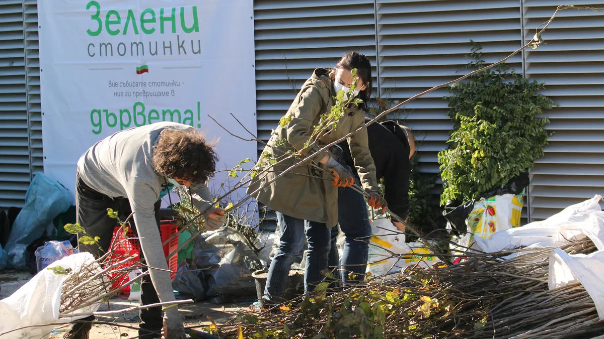 Опасна бактерия унищожи напълно дюлите в Румъния, заплашва и България