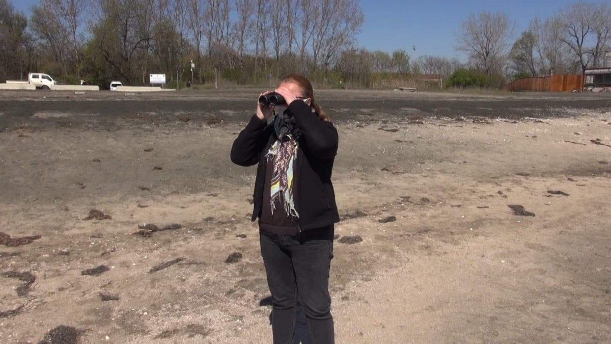Голямо количество мъртви птици край Бургас