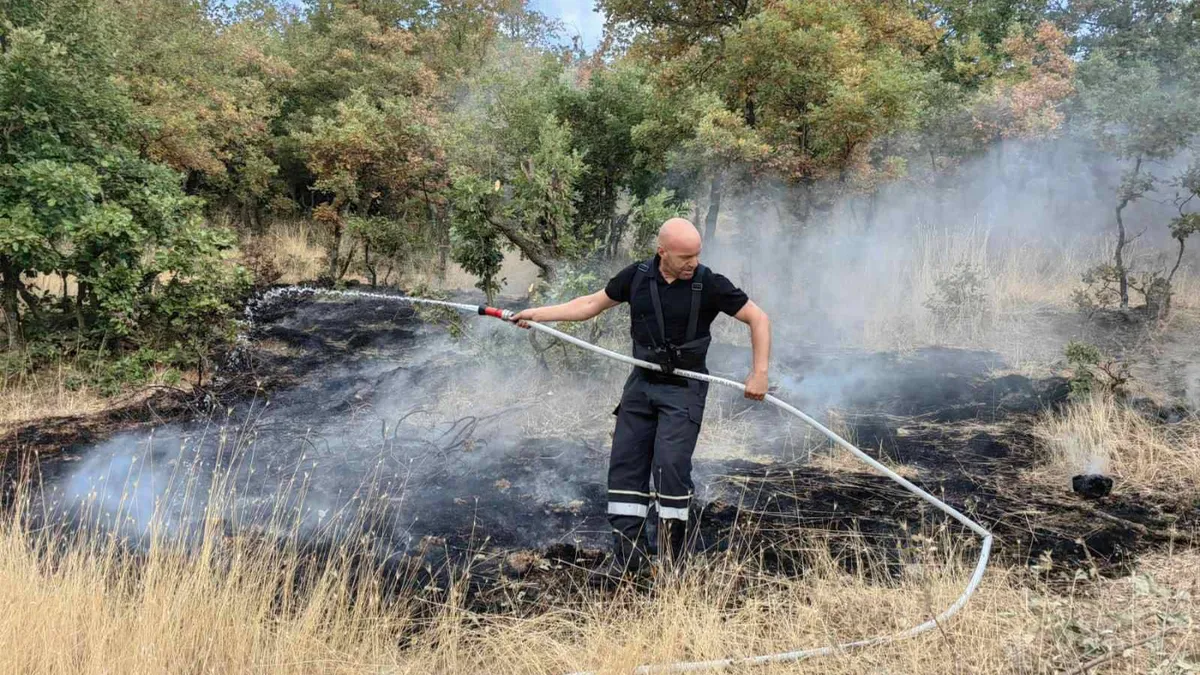 Остават критични пожарите в Струмяни и района на Тополовград