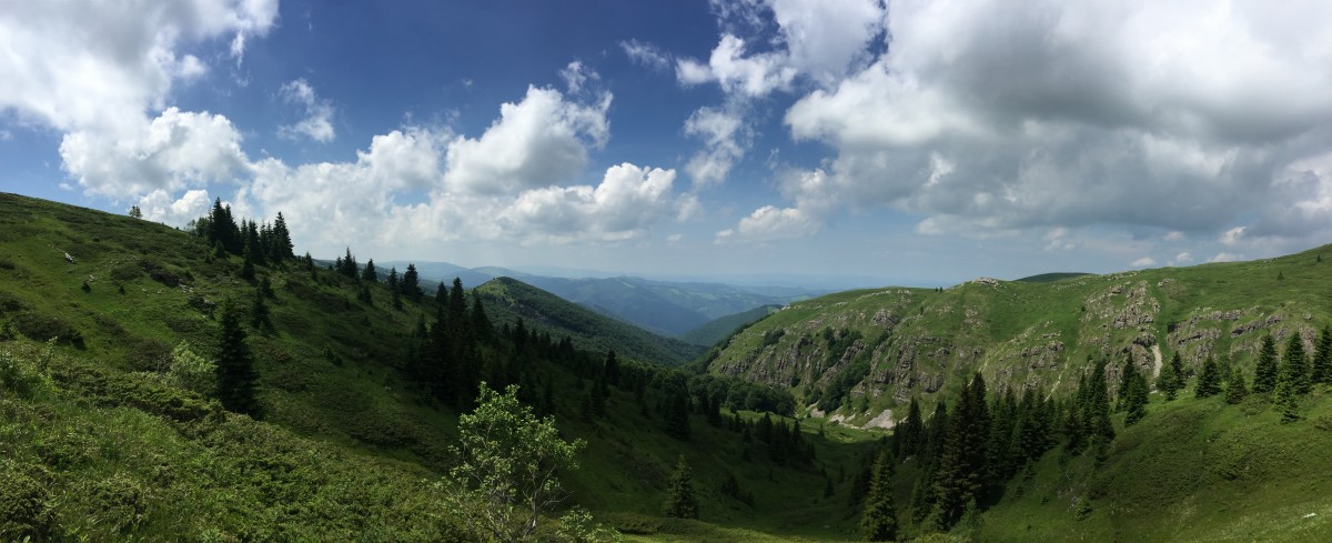 Отварят всички паркове и планини, разходка на Витоша от неделя
