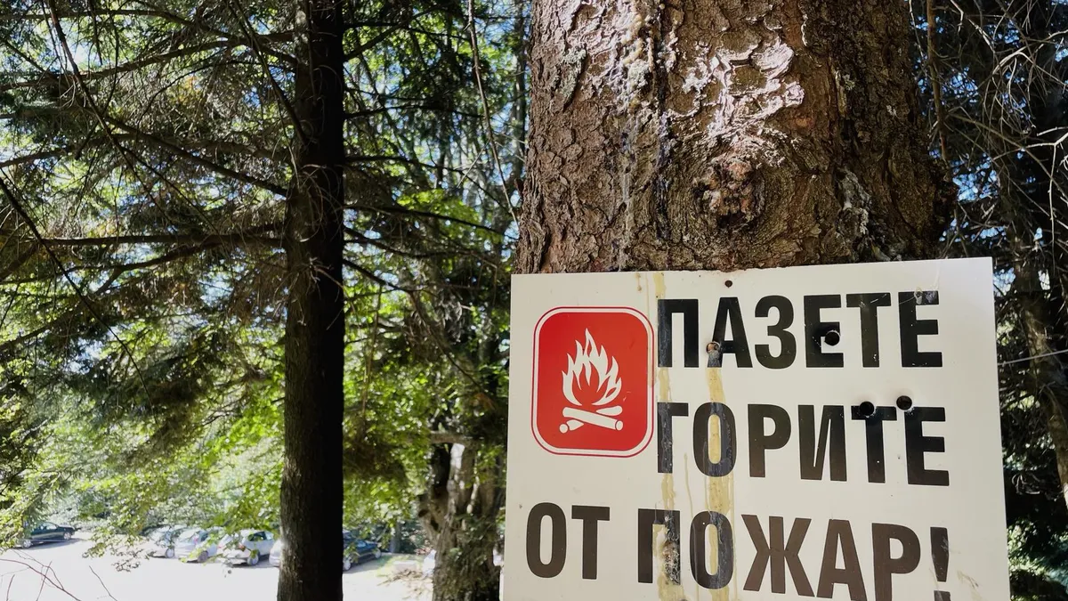 Паленето на огън, къмпингуване или лов са строго забранени в националните паркове „Рила“, „Пирин“ и „Централен Балкан“