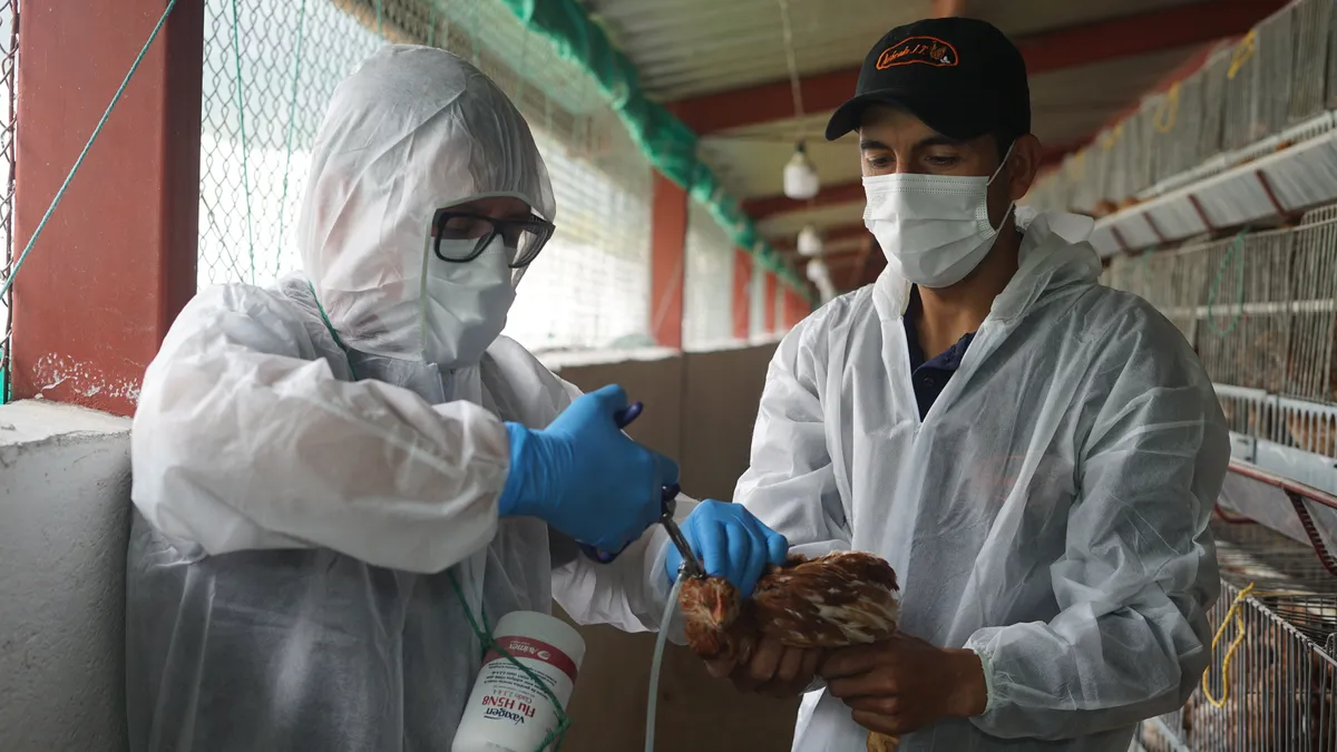 Първи смъртен случай на човек с птичи грип H5N2 