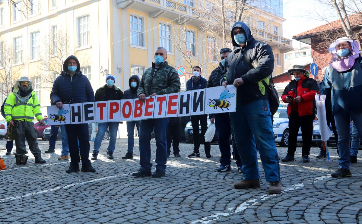 Пчелари искат отрасъла им да стане приоритетен в земеделието