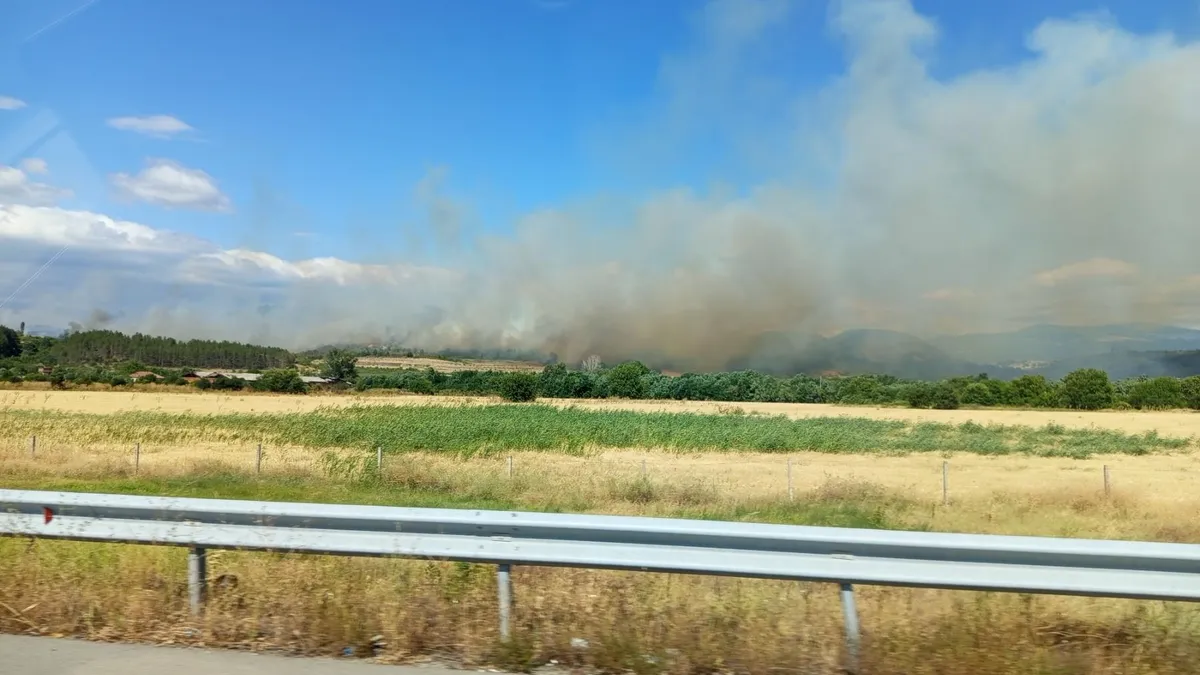 Пожар край село Илинденци в Благоевградско