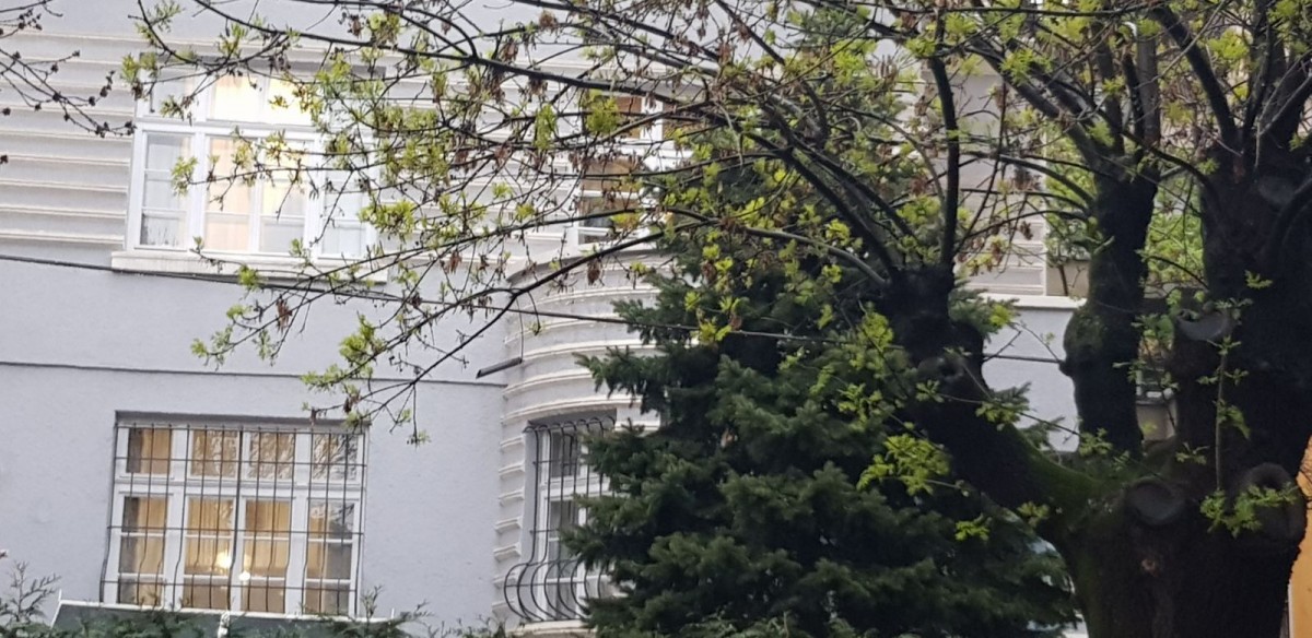 Полицаи обискират дома на Десислава Николова