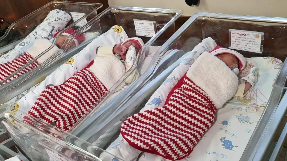 Политическата криза ли доведе до рязко топене на населението ни в последните две години? 
