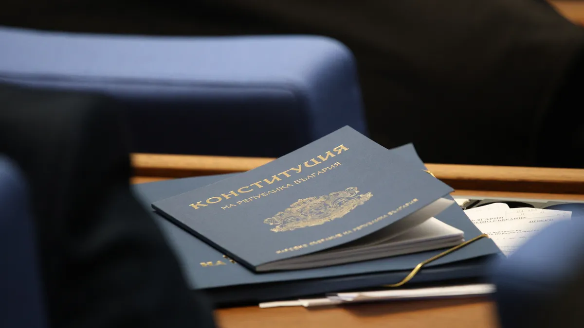 Правната общност да защити демокрацията от суспендирането на Конституцията чрез референдум