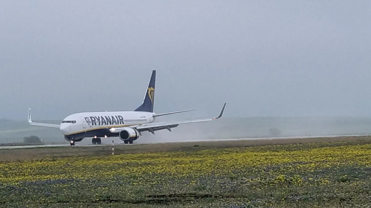 Ryanair отрича твърденията, че скоро ще предлага по-евтини места за правостоящи