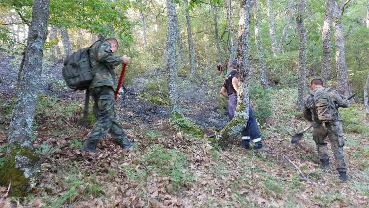 Седем пожара в горски територии в 4 области на страната