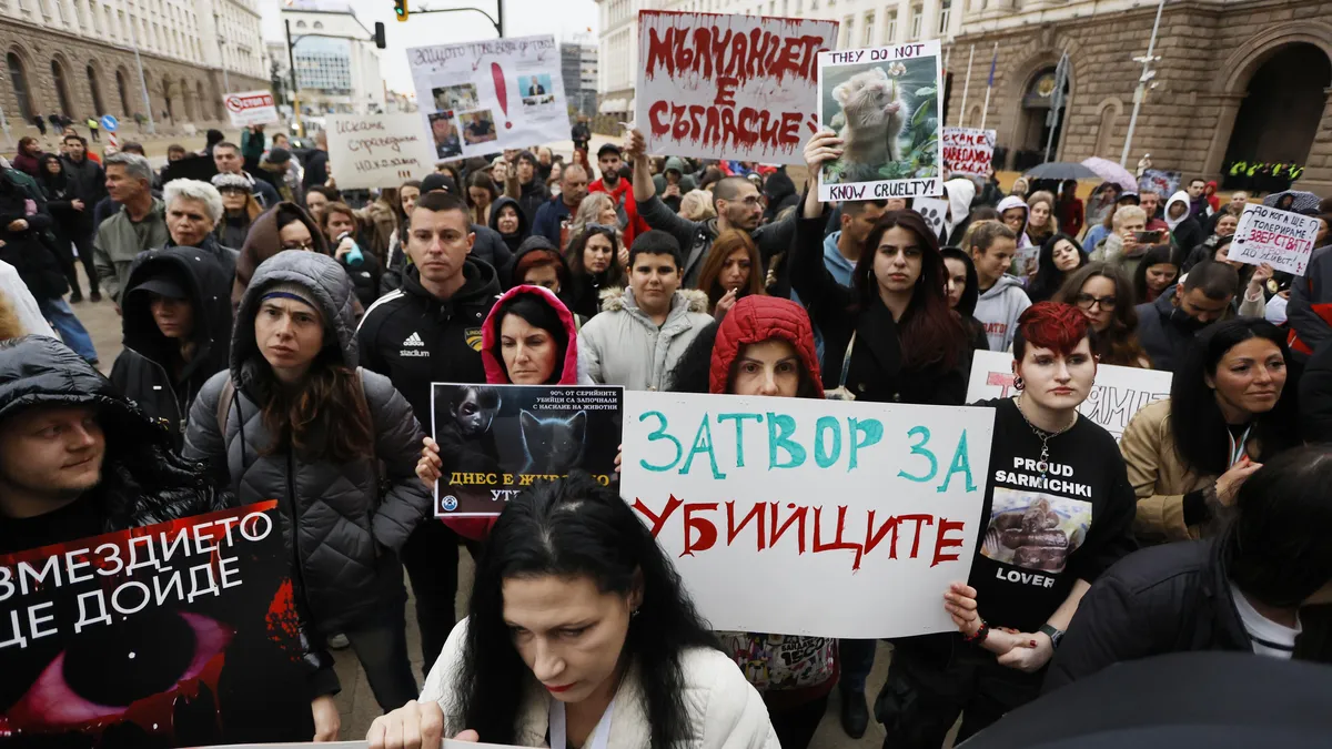 Софиянци излязоха на пореден протест срещу насилието над животни