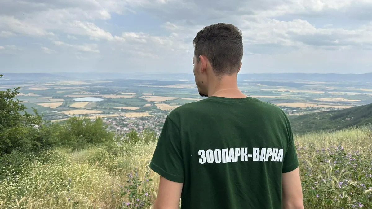 Трети ден продължава издирването на черния леопард на територия от 2000 дка в Шуменското плато