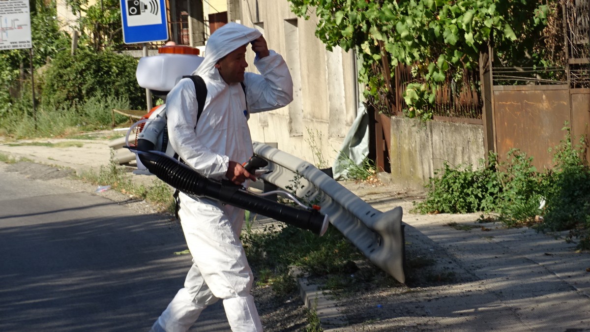 В Пазарджишка област са умъртвени над 3700 прасета от личните стопанства