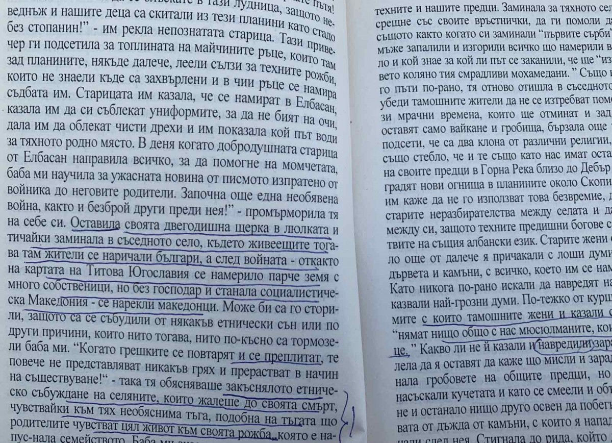 Ким Мехмети: Македония е „политически филиал“ на Сърбия, омразата е институционализирана в Скопие