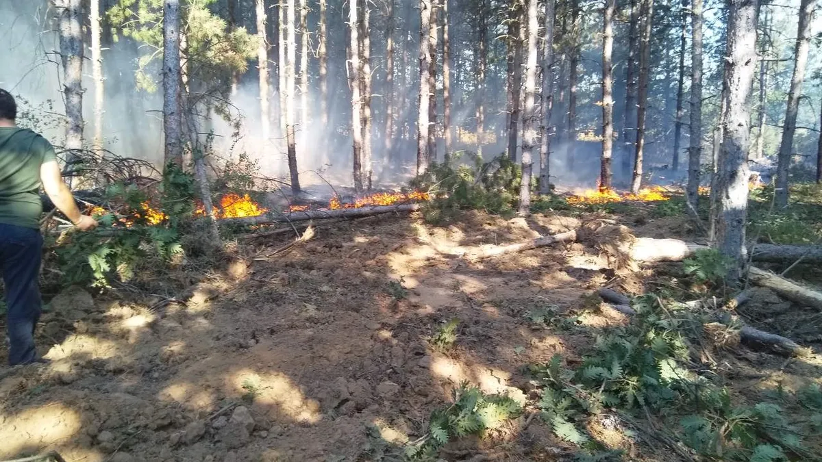Военни и огнеборци гасят голям пожар край Сливен