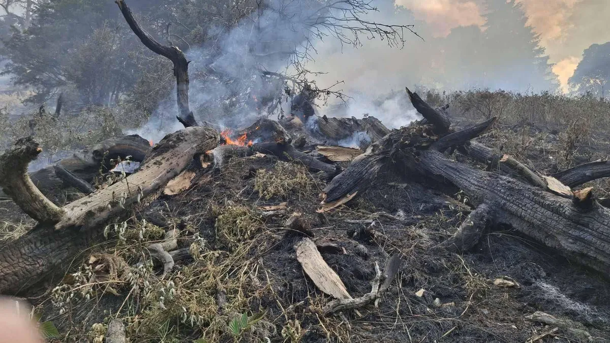 Военният Ми-17 и днес ще гаси пожара над Рилския манастир в Рила