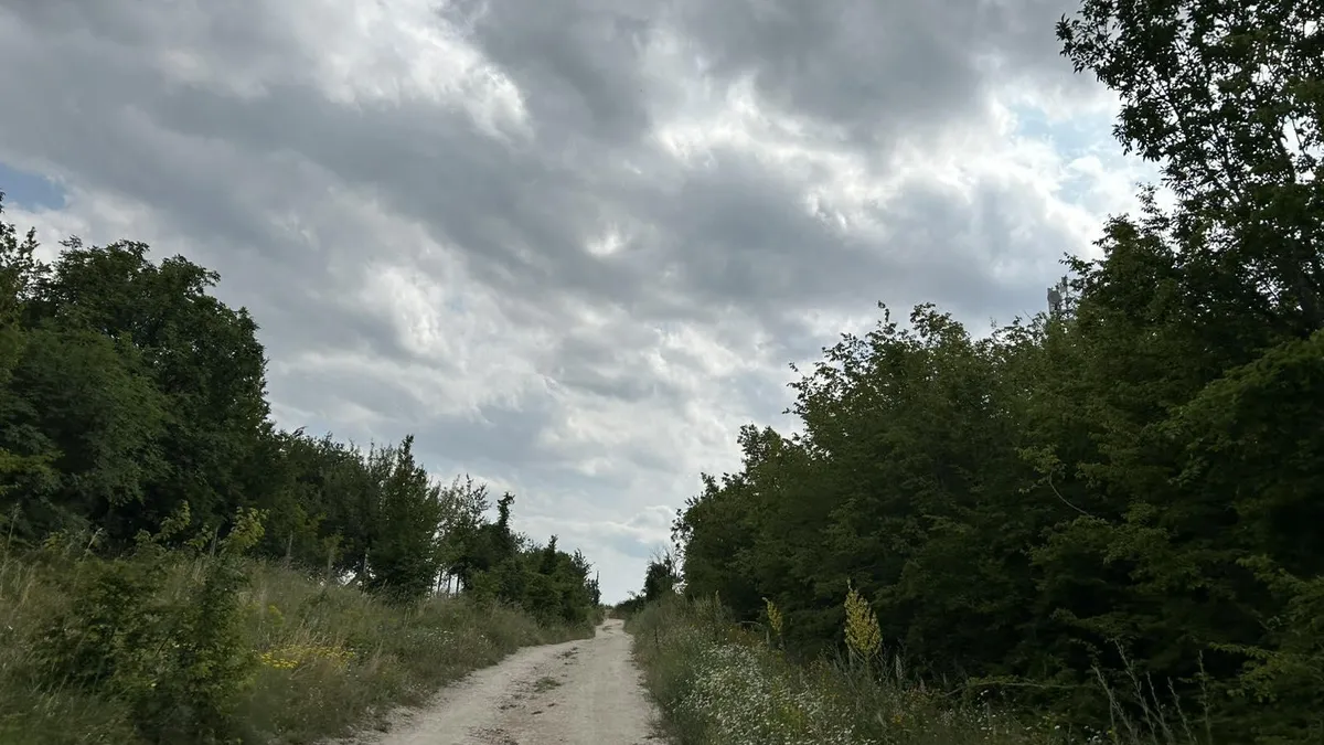 Заложени са 15 капана с примки за пумата в Шумен, вече са открити останки от убити животни